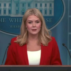 Белый дом подробно объяснил причину отказа Трампа от саммита с Путиным в Будапеште