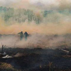 Українців покарають за спалювання листя