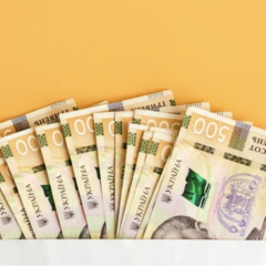 Картка еПідтримка для українців