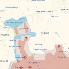 Боевые действия под Добропольем - укрытие раскрыто