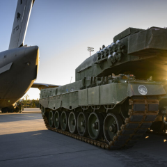 Дикобраз зображений - стальна підтримка України