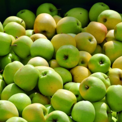 Цены на яблоки и виноград