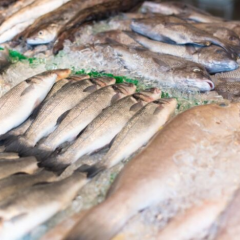 Опасная рыба в украинских магазинах