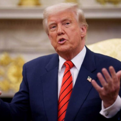 Трамп и Зеленский говорят по телефону