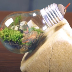 Платіжки на газ та світло