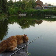 Попередження про сильне похолодання