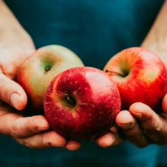 Рекордные цены на украинские яблоки