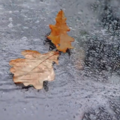 Осінь з дощами: погода в кінці жовтня
