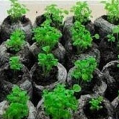 Верховой фрезерный торф для рассады