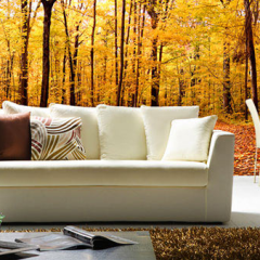 Фотообои - масштабное возвращение из 70-х