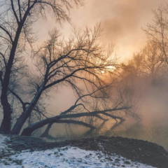 Аномальне тепло та дощ на Україні