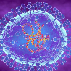 Метапневмовірус з Китаю: ризики оцінено ВООЗ