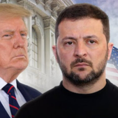 Зеленский и Трамп в Отечественном офисе