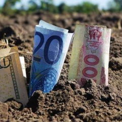 Земельна реформа в Україні