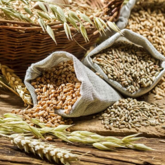 Експорт зернових культур збільшується в Україні