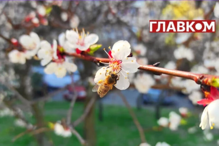 Прогноз дождя на 10 мая