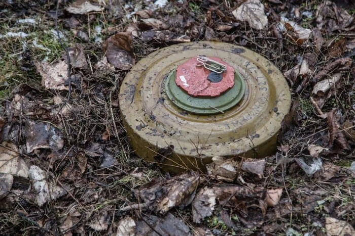 Карта найбільш замінованих районів Київщини