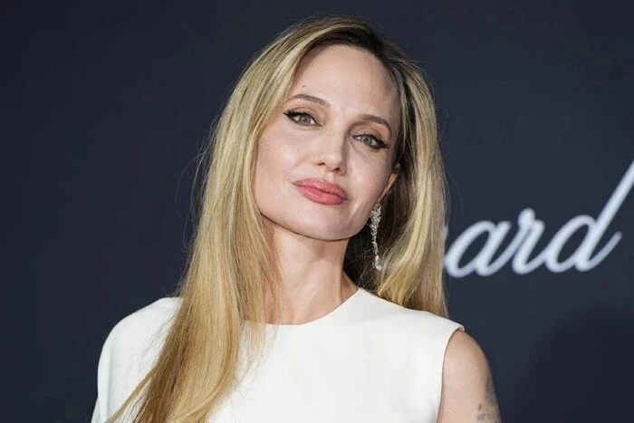 Анджеліна Джолі вимовляє промову в Каннах