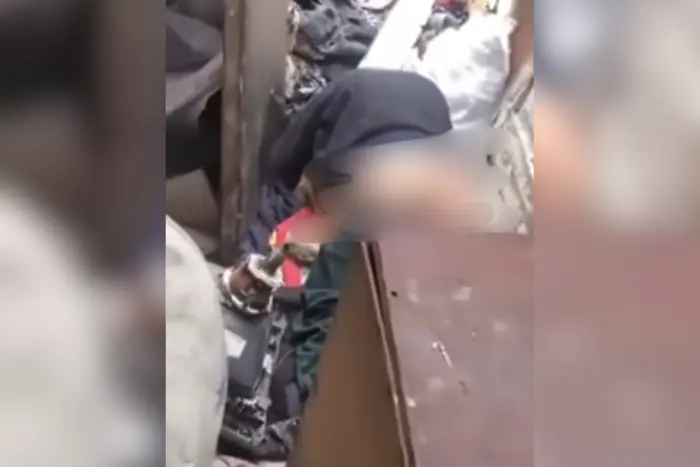 Доказательства изнасилования собаки изъяты