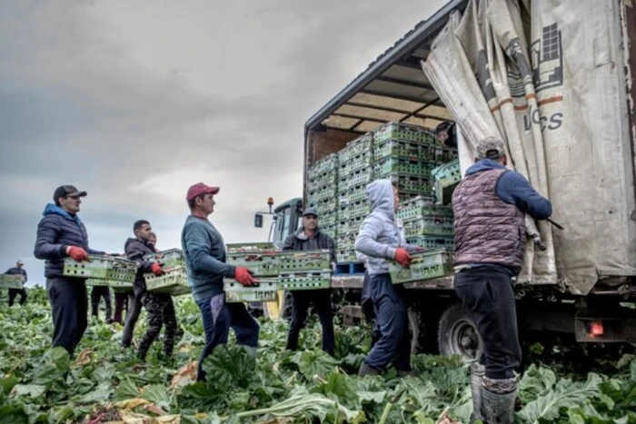 Будинки залишаються порожніми: масова міграція до ЄС