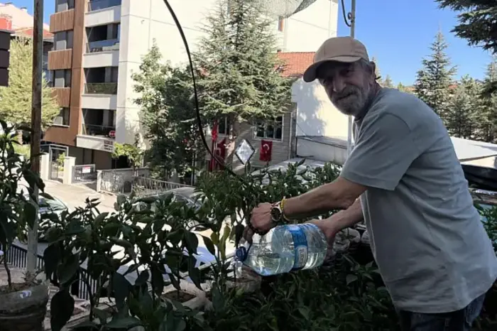 Маленьке містечко із 200 рослинами