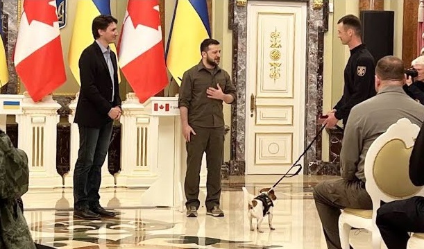 Знаменитый пес-сапер Патрон и его встреча с Джастином Трюдо