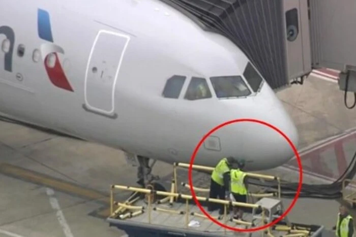 The aircraft returns to the airport after colliding with birds