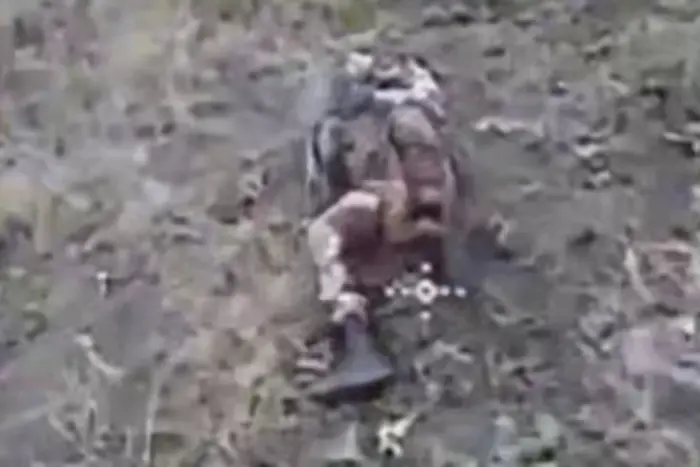 Утримання терористів погляд на розстріли у Покровську