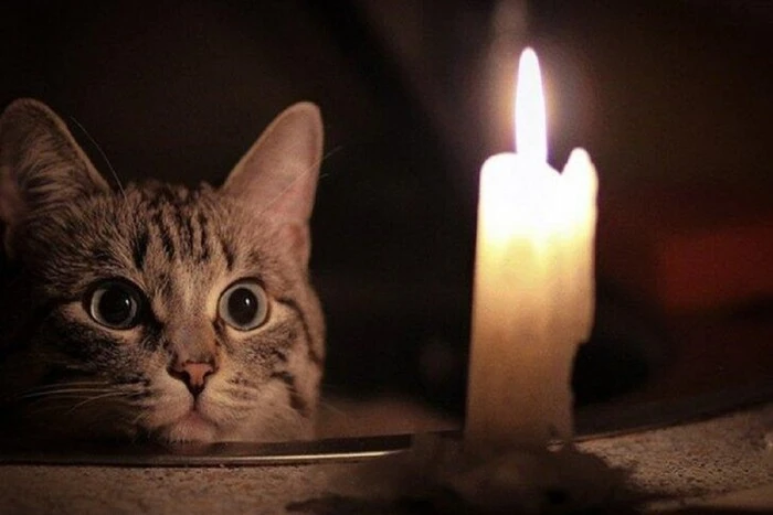 розрахунки за світло на місяць