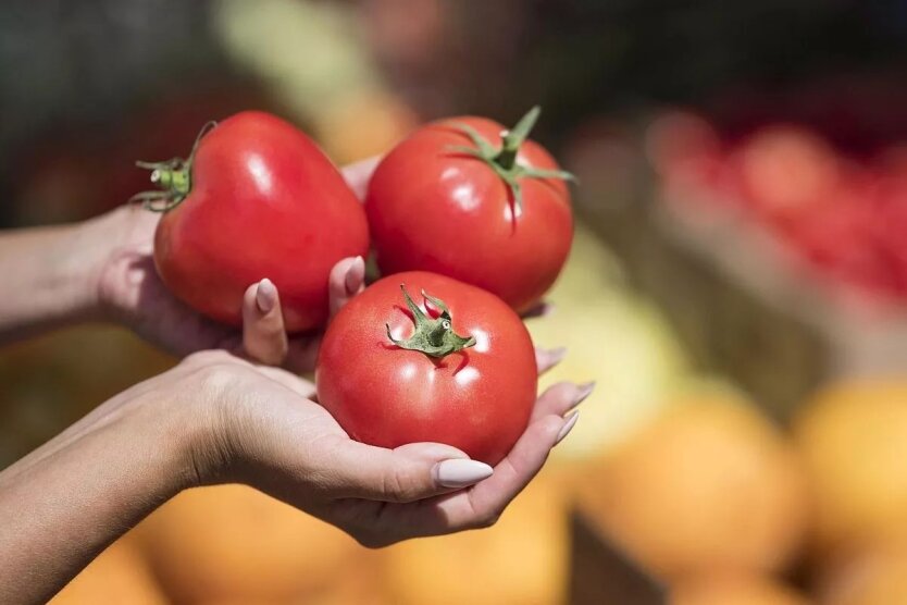 Помідори з ростом ціни