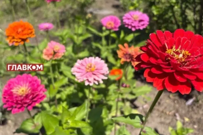 Прогноз синоптиків на «бабине літо» в Україні