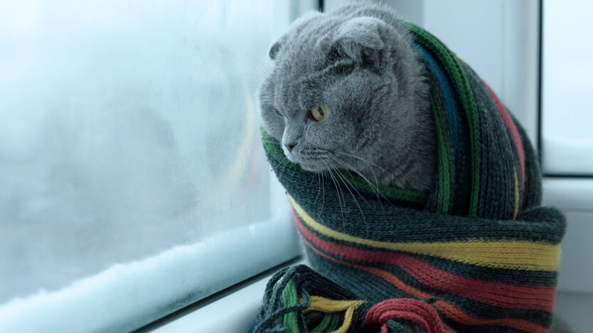 Заснеженное село в зимнем пейзаже