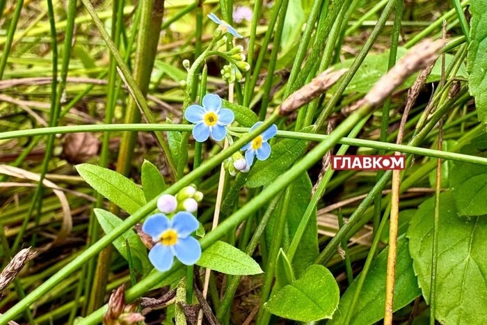 Погода без опадів на 30 серпня