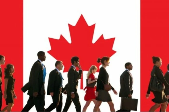 Канада має унікальний шанс зупинити відтік мозків