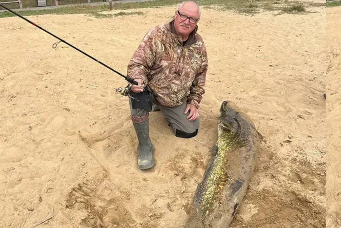 Сом-рекордсмен, пойманный на Винничине