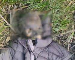 Страхітлива знахідка на кордоні з Румунією