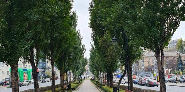 В Киеве перекроют одну из главных дорог