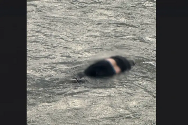 Прикордонники знайшли тіло втопленника у Тисі