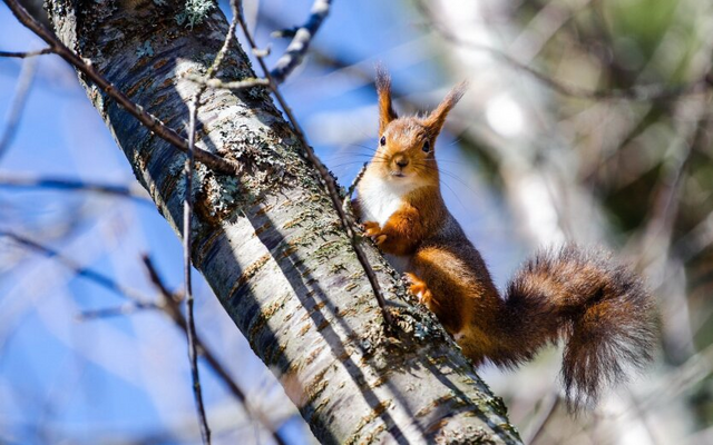 Весенний температурный скачок: прогноз на несколько дней
