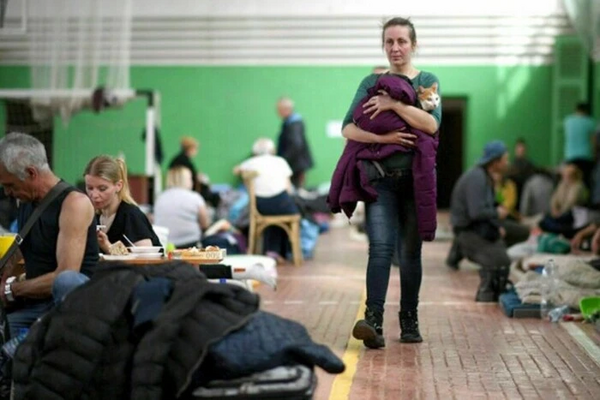 Статистика заявок на убежище в ЕС