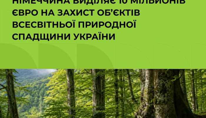Германия поддерживает буковые пралисы