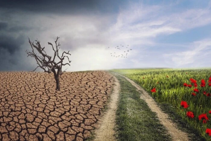 Графік зі збільшенням температур на протязі 2024 року