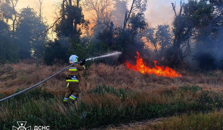 Аварія БПЛА в Миколаївщині: загинув водій, знищено 74 га врожаю