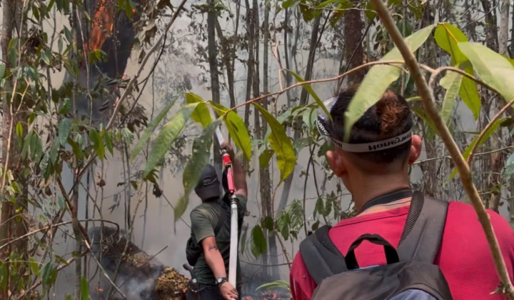 Drought from El Niño caused fires on Borneo