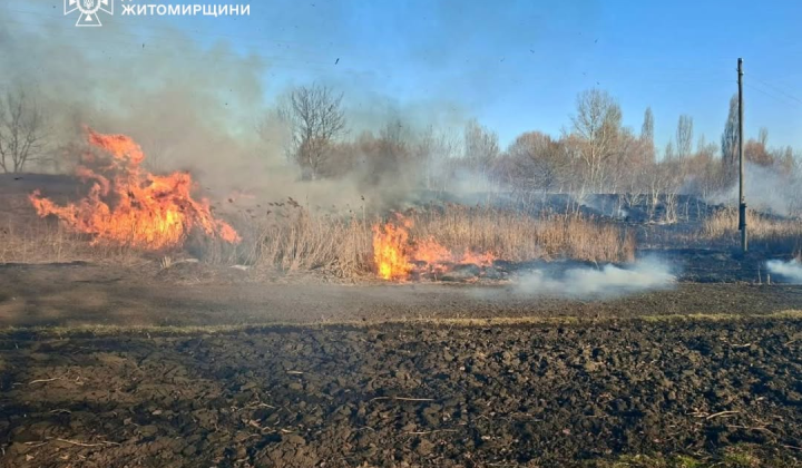 Жінка з опіками внаслідок пожежі трави