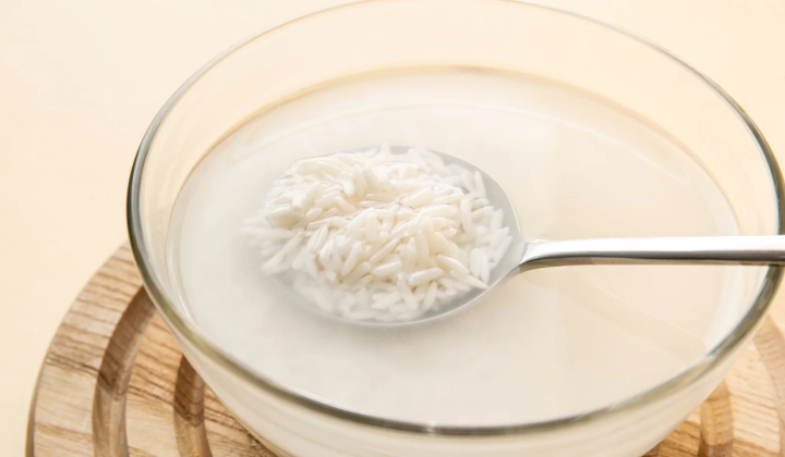 Studying fats in Japanese rice