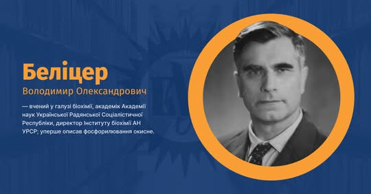 Володимир Беліцер - відкривач окисного фосфорилювання