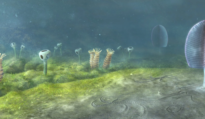 Animals existed 700-800 million years ago