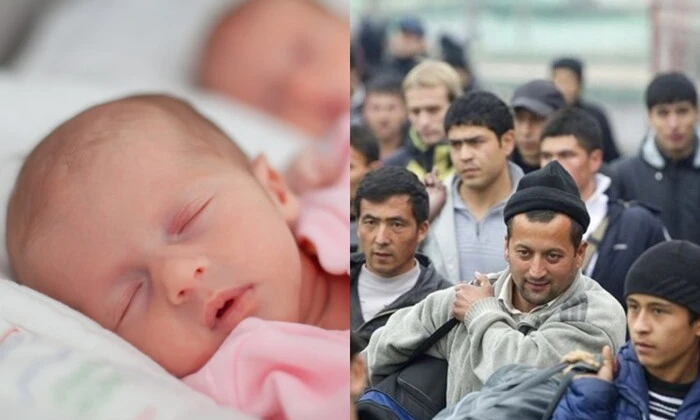 Експерт пояснює, як мігранти впливають на демографію України