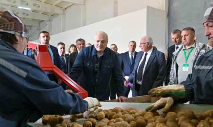 Лукашенко збирає урожай для Путіна
